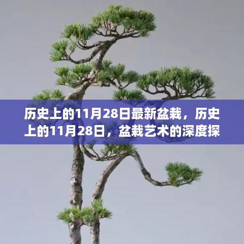 历史上的11月28日，盆栽艺术的深度探索与影响