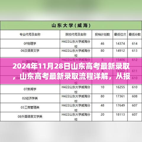 2024年山东高考录取流程详解，从报名到录取，一站式指引成功之路