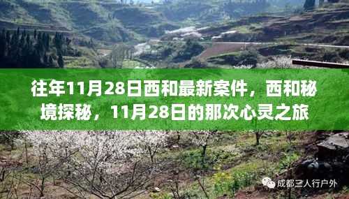 揭秘西和秘境，心灵之旅的往年11月28日案件回顾