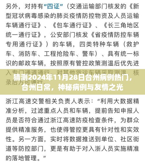 台州神秘病例揭秘与友情之光，2024年11月28日的日常热议话题