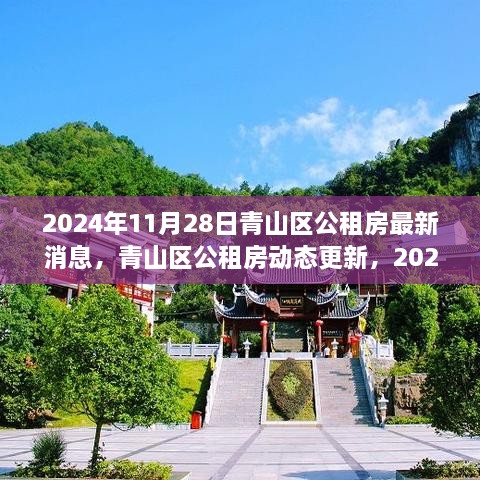 青山区公租房最新动态，2024年11月28日更新与观点探讨