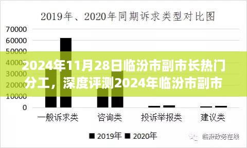 深度解读，2024年临汾市副市长热门分工特性、体验、竞争分析与目标用户群体剖析