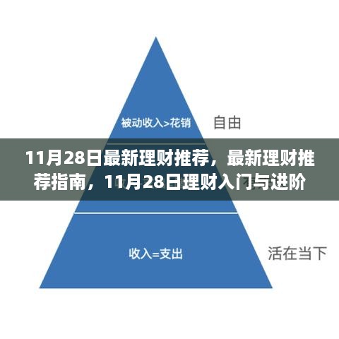 11月28日理财推荐指南，入门到进阶的全方位攻略