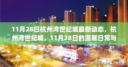 杭州湾世纪城11月28日最新动态，温馨日常与深厚友情的交织