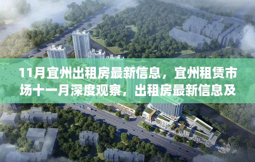 宜州租赁市场深度观察，最新出租房信息及其时代影响