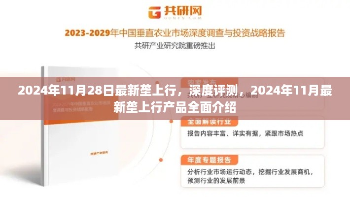 深度评测，2024年11月最新垄上行产品全面介绍与评测