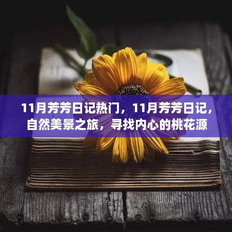 11月芳芳日记，自然美景之旅，探寻内心的桃花源