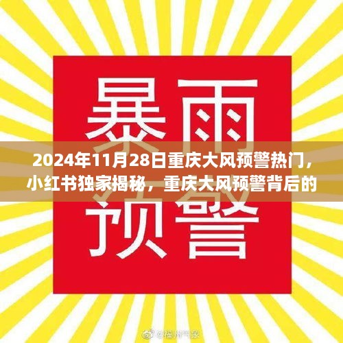 小红书独家揭秘，重庆大风预警背后的热议故事（2024年11月28日）