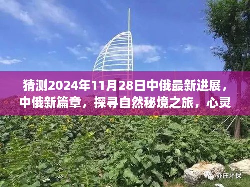 中俄新篇章，探寻自然秘境的心灵宁静之旅 —— 预测与展望2024年11月28日中俄最新进展