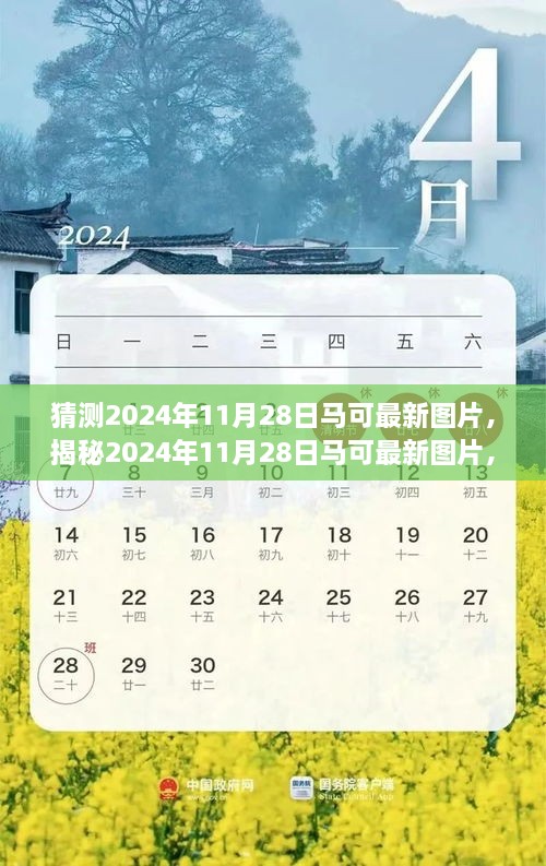 2024年11月 第32页