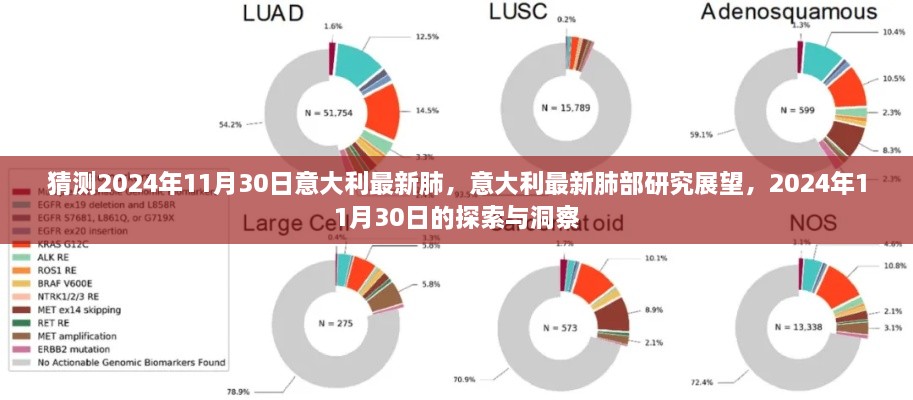 猜测2024年11月30日意大利最新肺，意大利最新肺部研究展望，2024年11月30日的探索与洞察