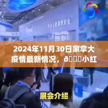 独家揭秘！加拿大疫情最新动态，小红书带你了解2024年11月30日最新情况