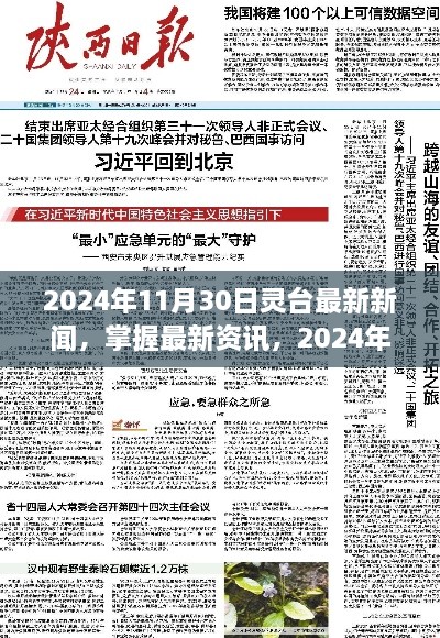 2024年11月30日灵台新闻全攻略，最新资讯一网打尽