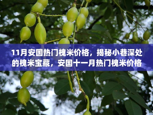 揭秘安国十一月热门槐米宝藏，小巷深处的价格一览