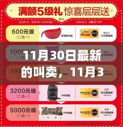 11月30日最新叫卖产品全面评测与介绍，最新潮流商品一网打尽