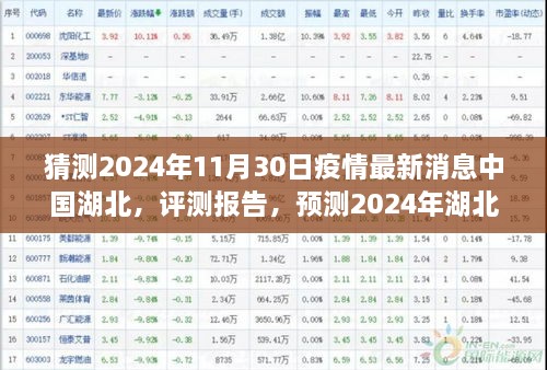 2024年湖北疫情最新动态分析与展望，中国湖北疫情发展评测报告