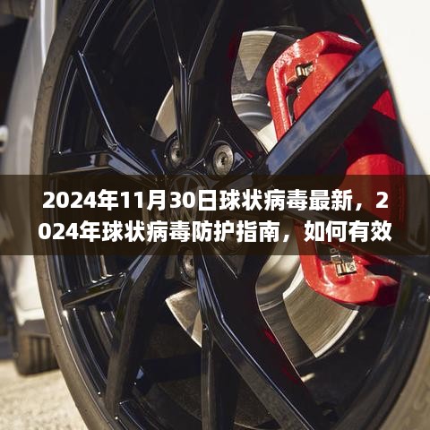 2024年球状病毒最新动态与防护指南，有效应对与防护措施