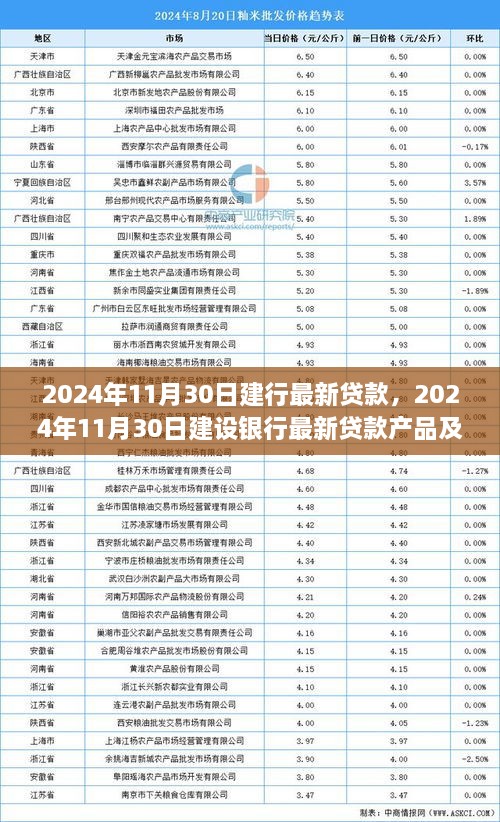 建设银行最新贷款产品及优惠政策解析，2024年11月30日深度解读