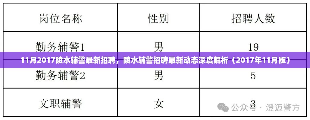 陵水辅警最新招聘动态深度解析（2017年11月版）