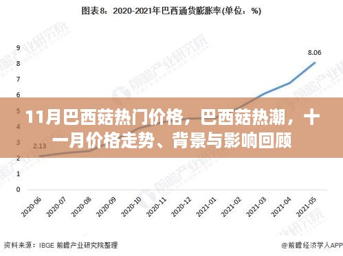 2024年11月 第7页