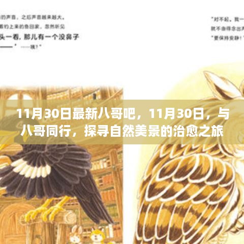 11月30日八哥同行之旅，自然美景的治愈探寻