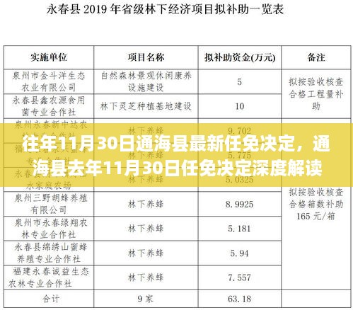 通海县去年11月人事任免深度解读，决策特性、用户体验、竞争态势及用户群体分析