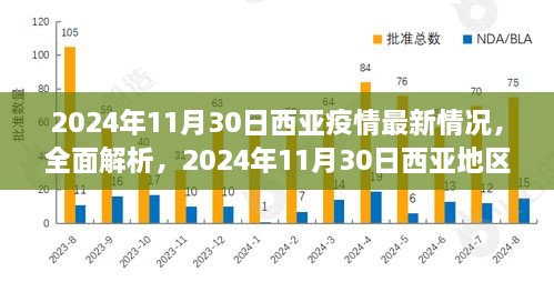 2024年11月