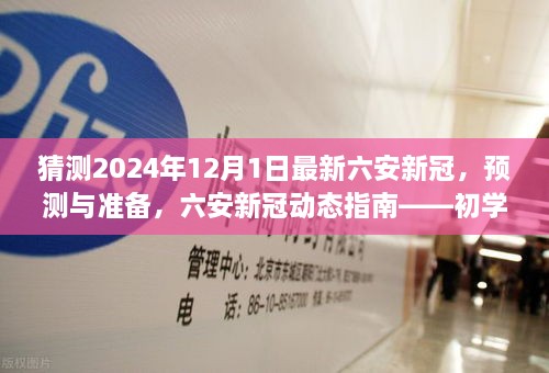 六安新冠动态指南，预测与准备——初学者如何学习预测新冠趋势技能，展望2024年最新动态