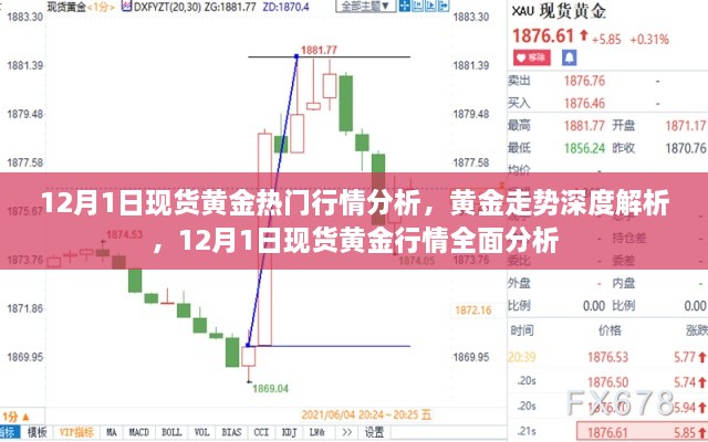 12月1日现货黄金行情深度解析，走势预测与全面分析