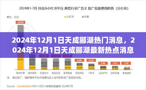 揭秘，2024年12月1日天成郦湖最新热点消息与热门动态