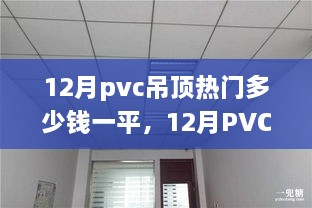 12月PVC吊顶价格解析，热门吊顶每平米多少钱及走势预测