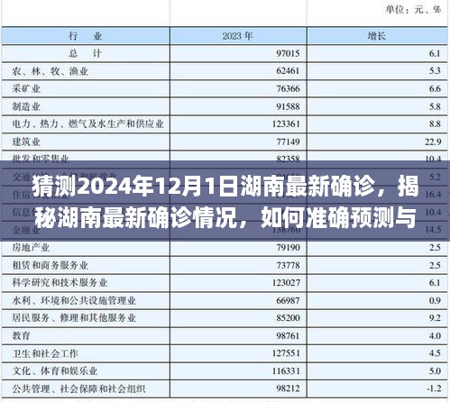 揭秘湖南最新疫情动态，如何预测与了解2024年湖南确诊情况（初学者与进阶用户指南）