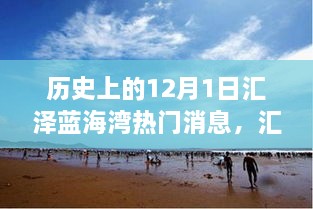 汇泽蓝海湾的奇迹，12月1日的温馨故事