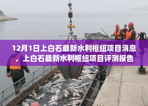 上白石最新水利枢纽项目评测报告及最新消息发布