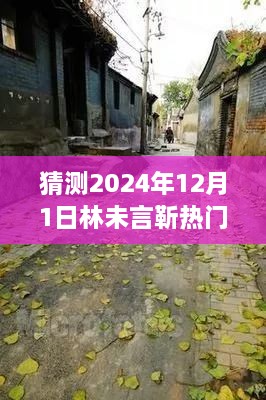 探秘林未言靳热门章节，小巷深处的独特风味与背后的故事（2024年12月1日）