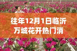 临沂万城花开科技盛宴，揭秘高科技产品，体验未来生活革新之旅