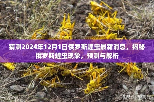 揭秘俄罗斯蝗虫现象，最新预测与解析，2024年12月1日最新消息