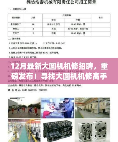 重磅发布，寻找大圆机机修高手——最新大圆机机修招聘信息详解