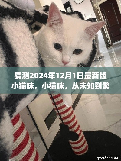 揭秘未来小猫咪时代，从未知到繁荣——探索小猫咪的繁荣变迁之旅（2024年最新版）