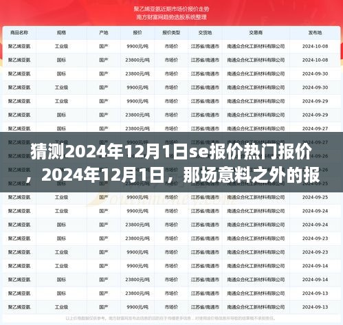 2024年12月1日惊喜报价之旅，热门报价预测