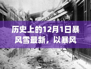 2024年12月1日 第2页