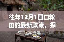 往年12月1日口粮田的最新政策，探秘小巷深处的口粮田特色小店，揭秘十二月一日最新政策下的粮食新篇章