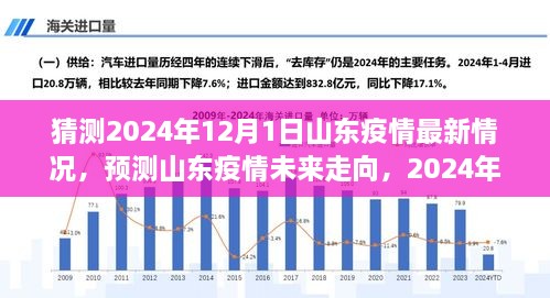 山东疫情深度解析，预测未来走向与2024年12月最新情况展望