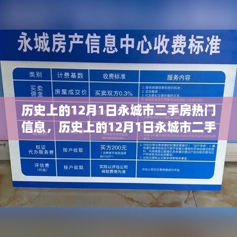 历史上的12月1日永城市二手房热门信息深度解读与评测报告