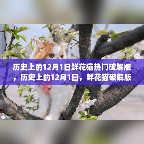 揭秘鲜花猫破解版风靡背后的故事，历史上的十二月一日回顾