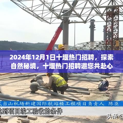 启程于2024年，十堰热门招聘邀您共赴自然秘境的心灵之旅