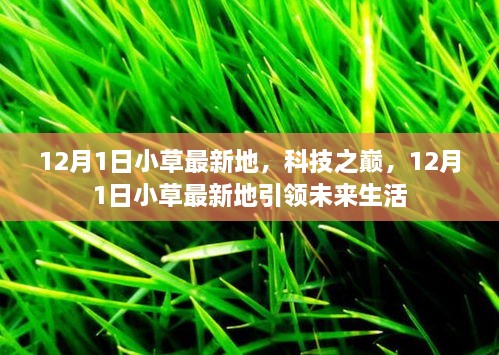 12月1日小草最新地，科技之巅引领未来生活