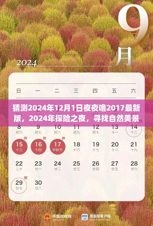 探寻自然美景中的内心平静之旅，预测2024年探险之夜与最新夜夜噜体验