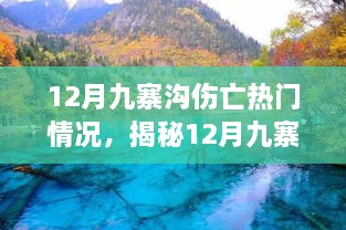 揭秘，九寨沟12月伤亡事件真相与热门情况深度解析