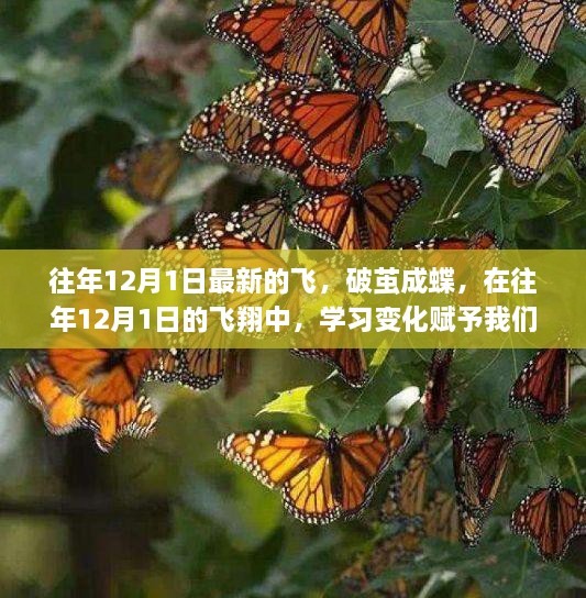 往年12月1日的蜕变，学习飞翔，自信与成就感的源泉